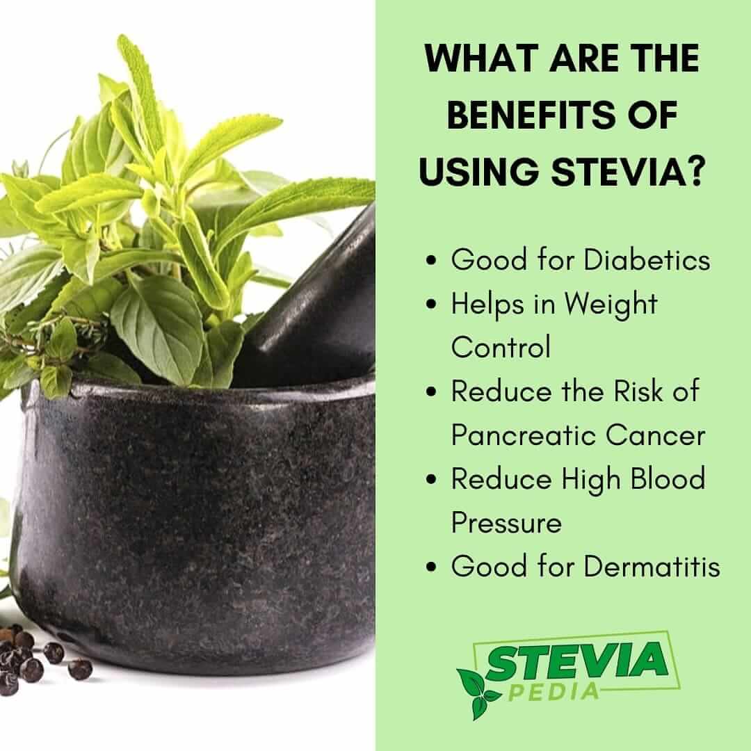 Synergreens Food Supplement